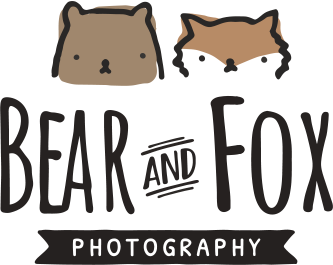 Bear and Fox Photo & Video